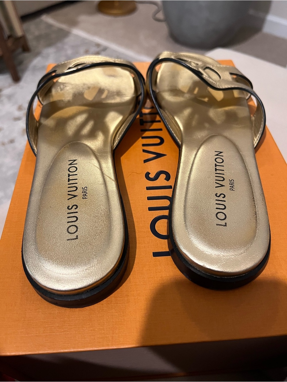 Louis Vuitton Isola Flat Mule Metallic Gold